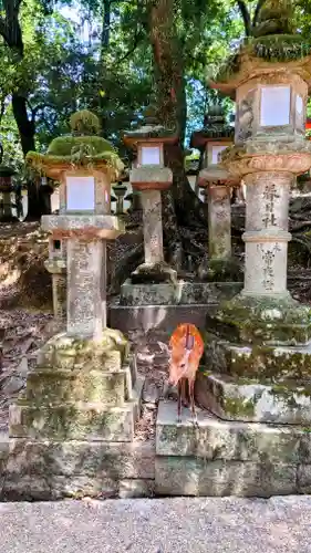 春日大社(奈良県)