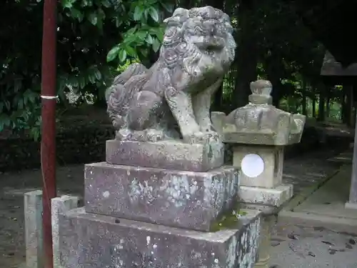 荒井神社の狛犬