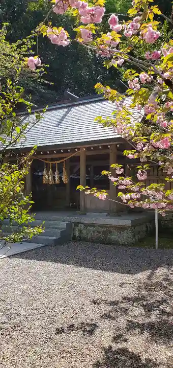 安房神社(千葉県)