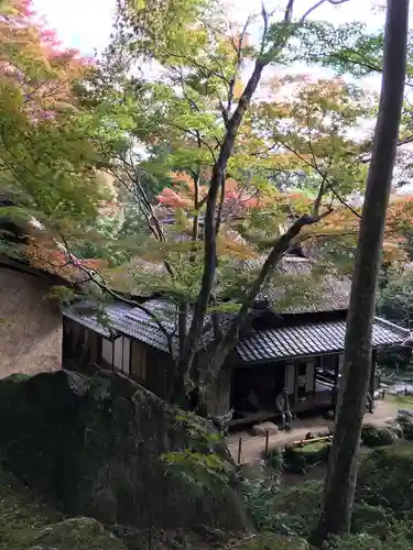 教林坊の庭園