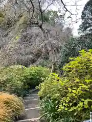 明月院(神奈川県)