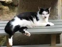 王子神社の動物