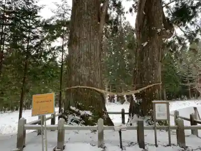 岩手山神社の自然
