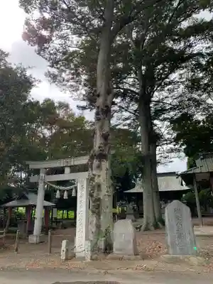 胸形神社(栃木県)