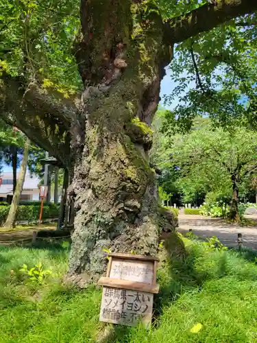 世良田東照宮(群馬県)