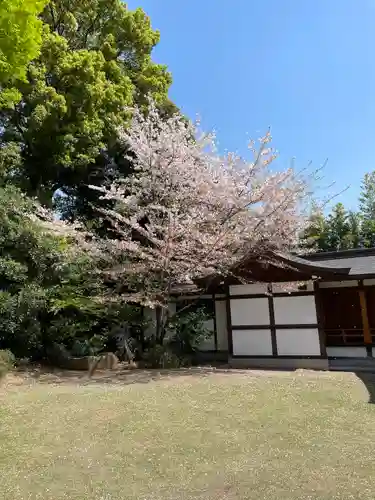 阿佐ヶ谷神明宮(東京都)