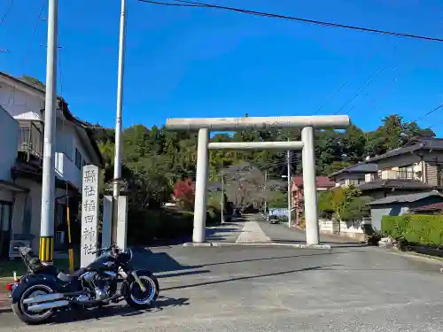 稲田神社の鳥居