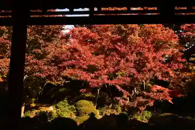 源光庵(京都府)