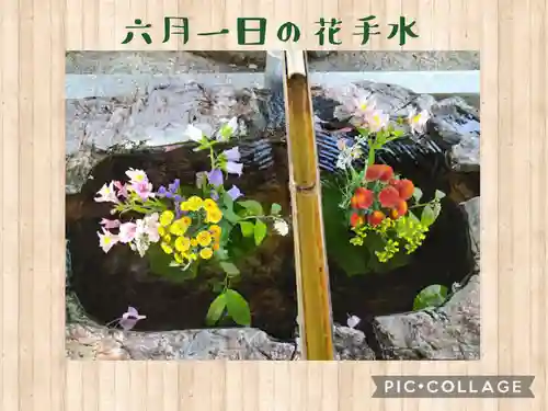阿智神社の手水舎