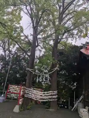 多摩川浅間神社(東京都)