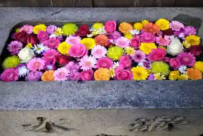 菅生神社(愛知県)