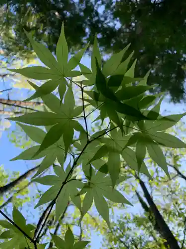 滑川神社 - 仕事と子どもの守り神(福島県)