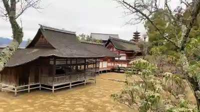 厳島神社の{uncategorized: "未分類", other: "その他", undefined: "問題あり", building: "その他建物", grave: "お墓", sacred_gate: "鳥居", guardian: "狛犬", statue: "像", buddha: "仏像", history: "歴史", nature: "自然", garden: "庭園", animal: "動物", pagoda: "塔", temizu: "手水舎", mountain_gate: "山門・神門", sanctuary: "本殿・本堂", subordinate: "末社・摂社", art: "芸術", scenery: "景色", jizo: "地蔵", ema: "絵馬", goshuin: "御朱印", omikuji: "おみくじ", items: "授与品その他", amulet: "お守り", goshuincho: "御朱印帳", eats: "食事", festival: "お祭り", votive_dance: "神楽", shichigosan: "七五三参", wedding: "結婚式", experience: "体験その他", initially: "初詣", around: "周辺", anti_infection: "感染症対策"}