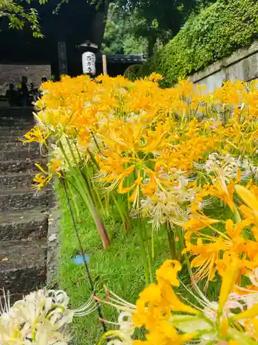 横浜　西方寺(神奈川県)