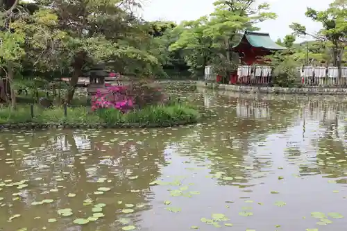 鶴岡八幡宮の景色