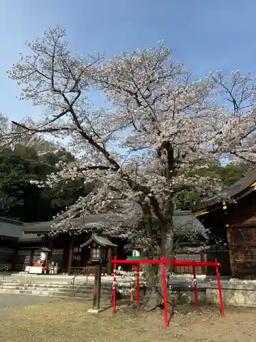 群馬県護国神社(群馬県)