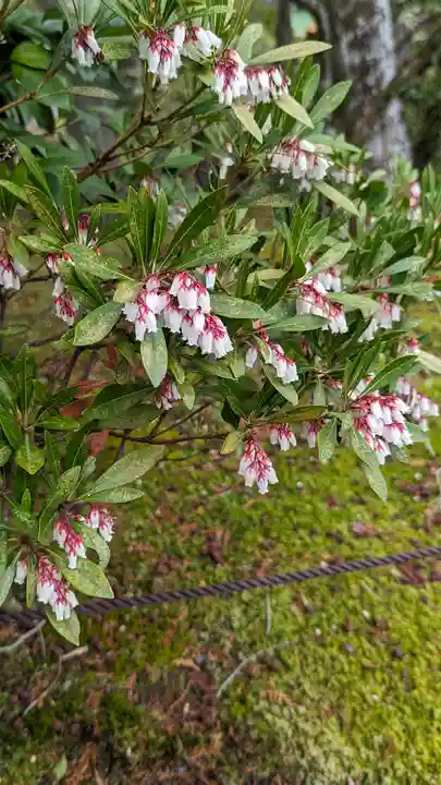 真正極楽寺(真如堂)(京都府)