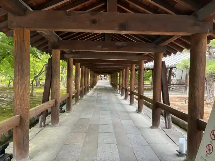東福禅寺(東福寺)(京都府)