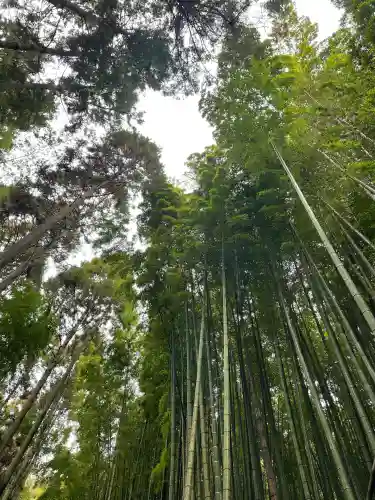 武雄神社(佐賀県)