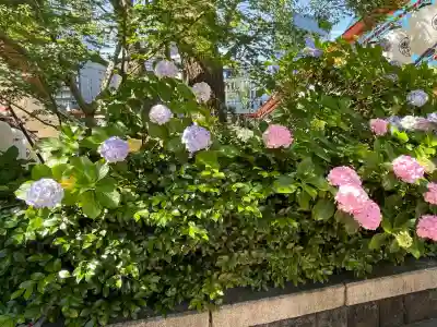日枝神社(東京都)