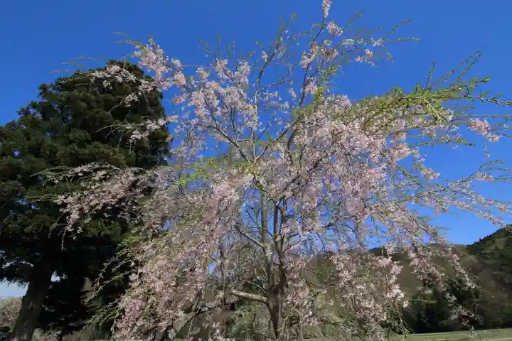 大山祇神社の庭園