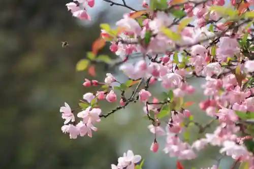 鹿島大神宮の庭園