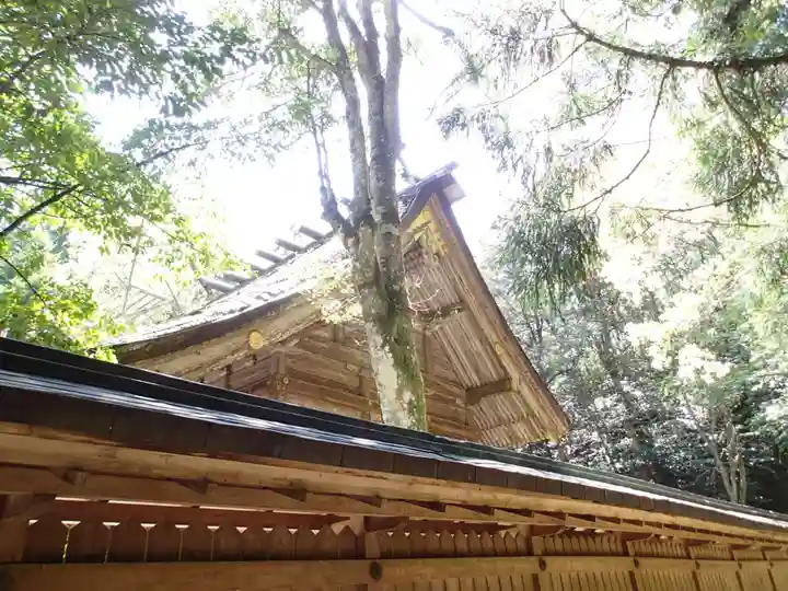 若狭彦神社(上社)の本殿・本堂