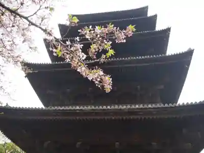 東寺(教王護国寺)の塔