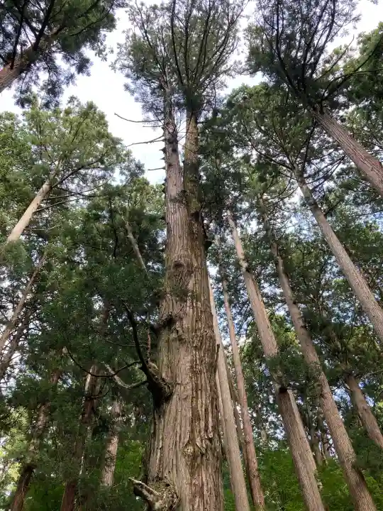 平泉寺白山神社(福井県)