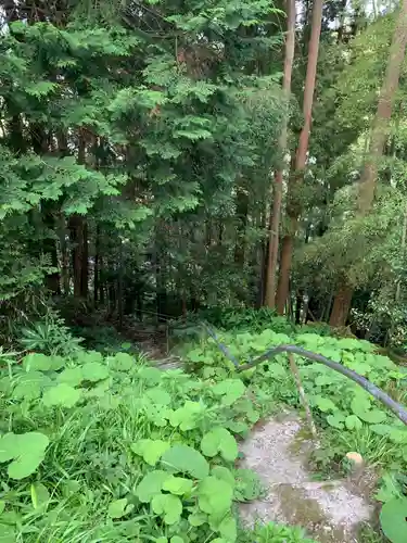 熊野権現の自然