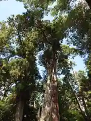 渭伊神社(静岡県)