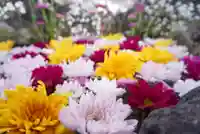 伊達神社(北海道)