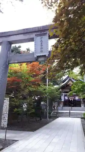 彌彦神社　(伊夜日子神社)の鳥居