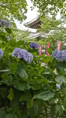 本法寺(京都府)