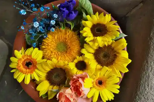 菅生神社(愛知県)