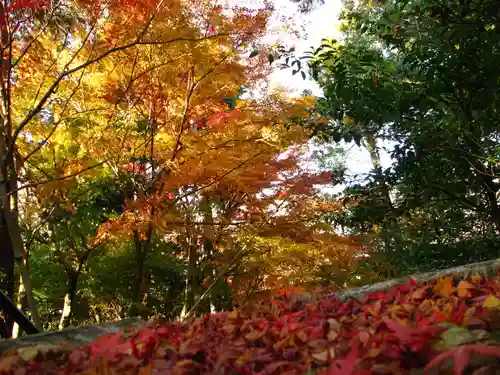 安養寺のその他建物