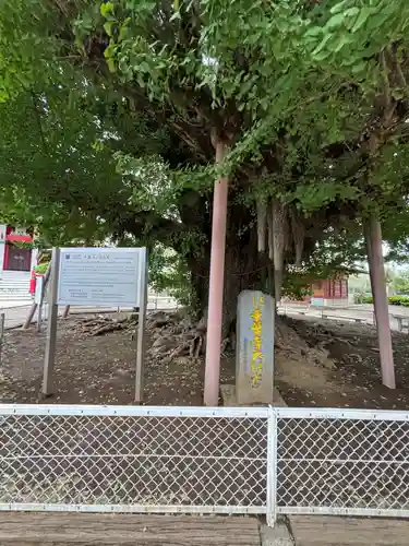 千葉寺のその他建物