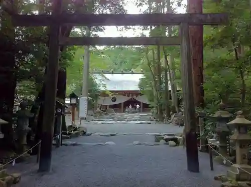 椿大神社の鳥居