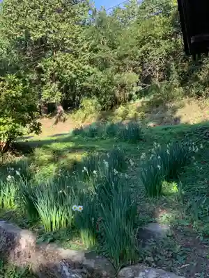 熊野神社の自然