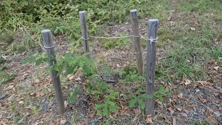 名寄神社の自然