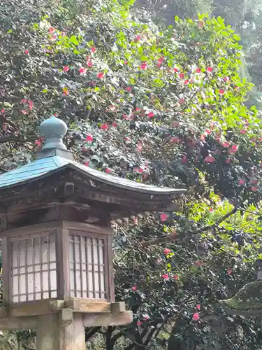 青海神社(新潟県)
