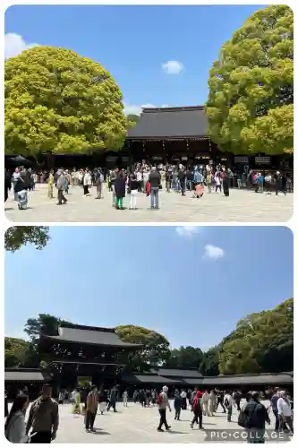 明治神宮(東京都)