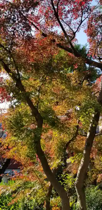 香取神社の自然