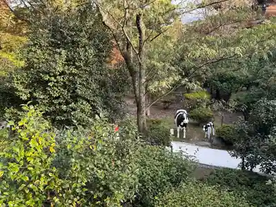 善光寺(長野県)