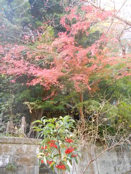 安國論寺(安国論寺)の自然