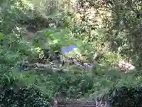葉梨神社(静岡県)
