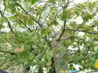 覚照寺(愛知県)