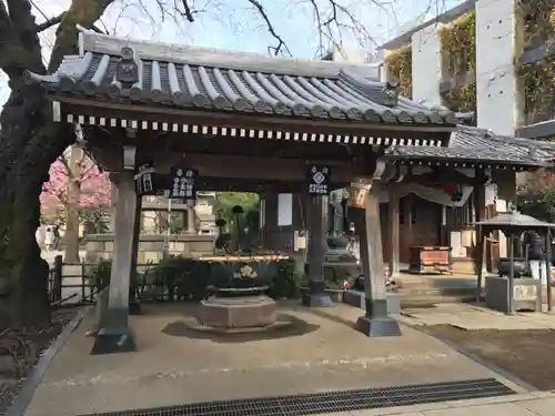 新井薬師（梅照院）の手水舎