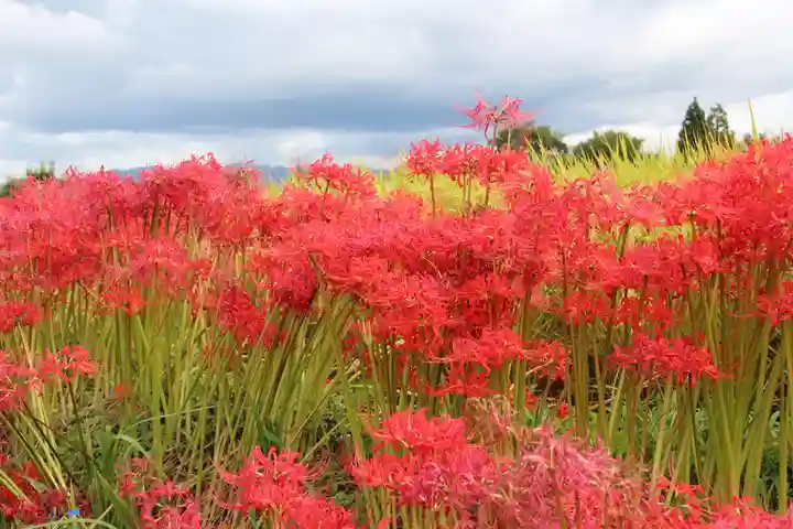 葛城一言主神社の自然