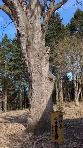稲荷神社の自然